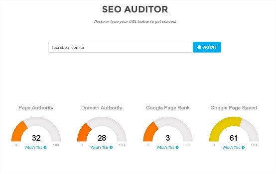 zandro auditor