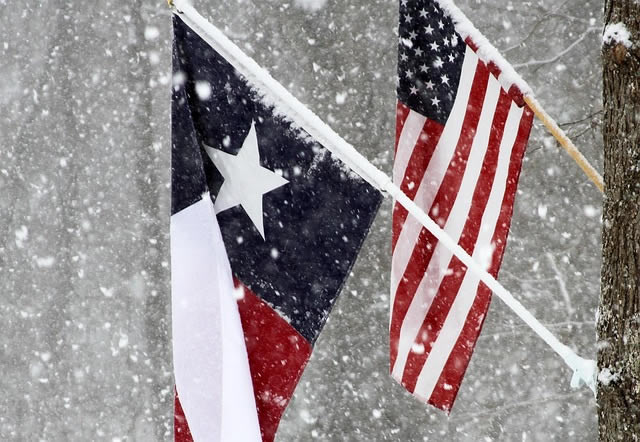 bandeira do texas - thumb